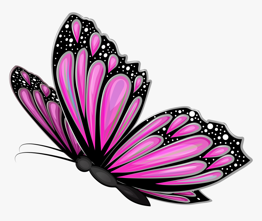 Pink Butterfly Png, Transparent Png, Free Download