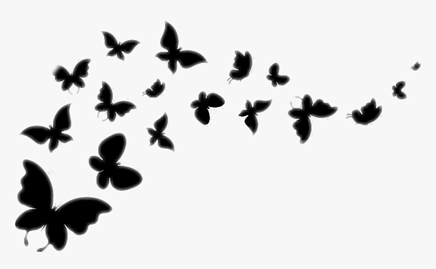 Transparent Butterfly Flying Clipart Black And White - Flying Butterflies Black And White, HD Png Download, Free Download