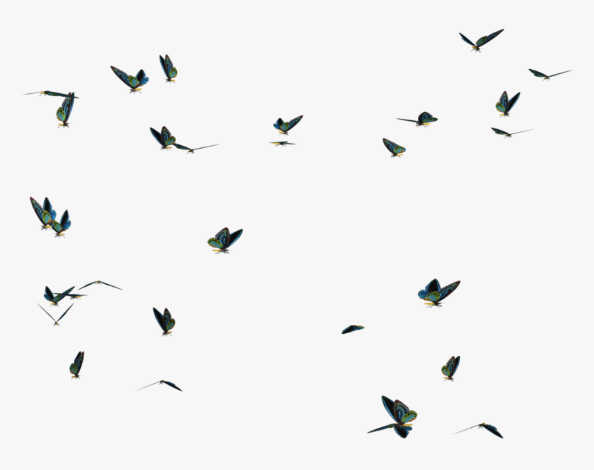 Flying Butterfly Transparent Images - Swarm Of Butterflies Png, Png Download, Free Download