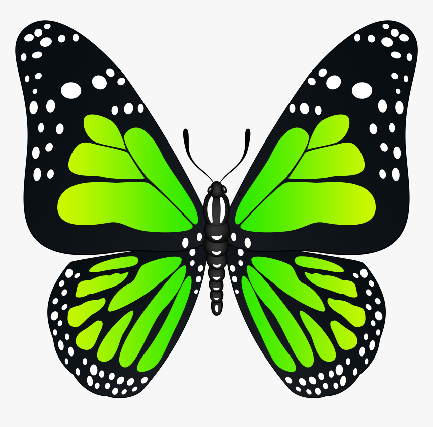 Butterfly Clipart Green Transparent, HD Png Download, Free Download