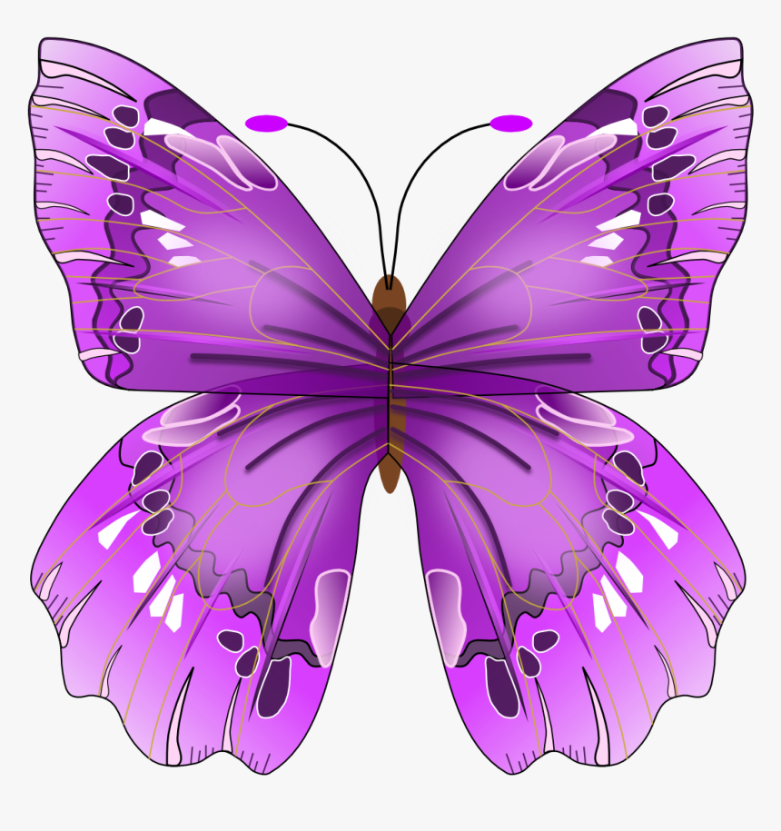 Butterfly Png Image - Purple Butterfly Clipart Png, Transparent Png, Free Download