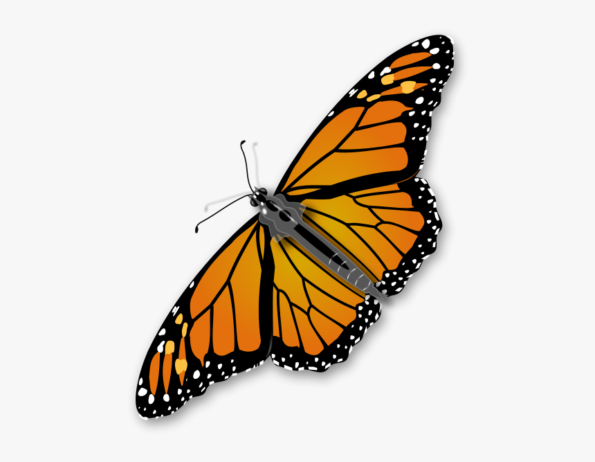 Monarch Butterfly Png Clip Arts - Monarch Butterfly Transparent Background, Png Download, Free Download