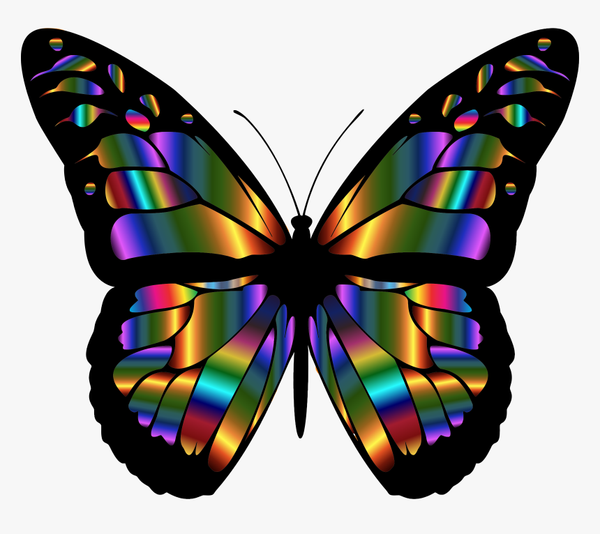 Transparent Dust Clipart - Colorful Butterfly Wings Png, Png Download, Free Download