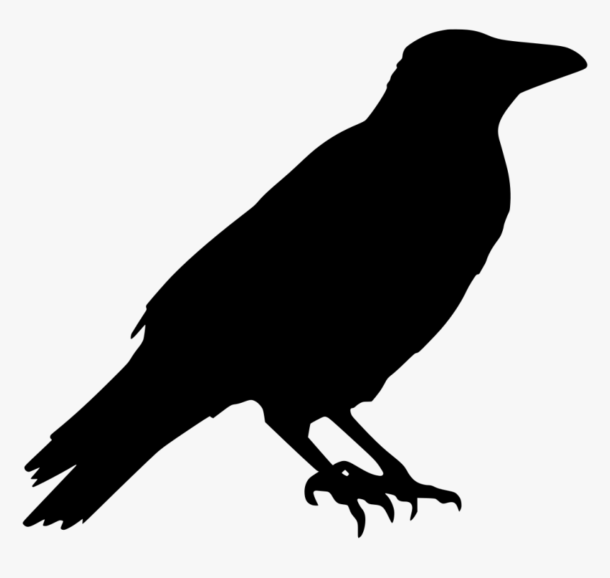 Crow, Raven, Animal, Halloween, Black, Dark, Bird - Crow Vector Silhouette, HD Png Download, Free Download