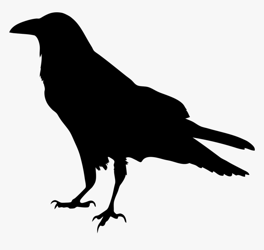 Raven Clipart, HD Png Download, Free Download