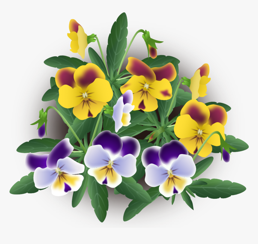 Violas Mix - Pansy, HD Png Download, Free Download