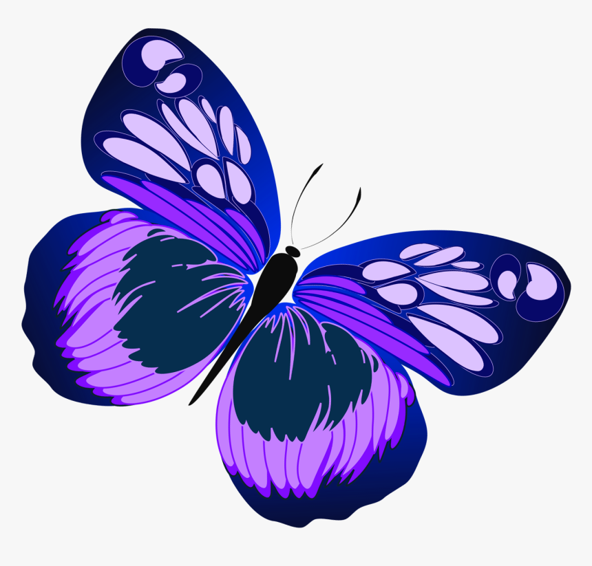 Blue Violet Clipart - Clip Art Purple Butterfly, HD Png Download, Free Download