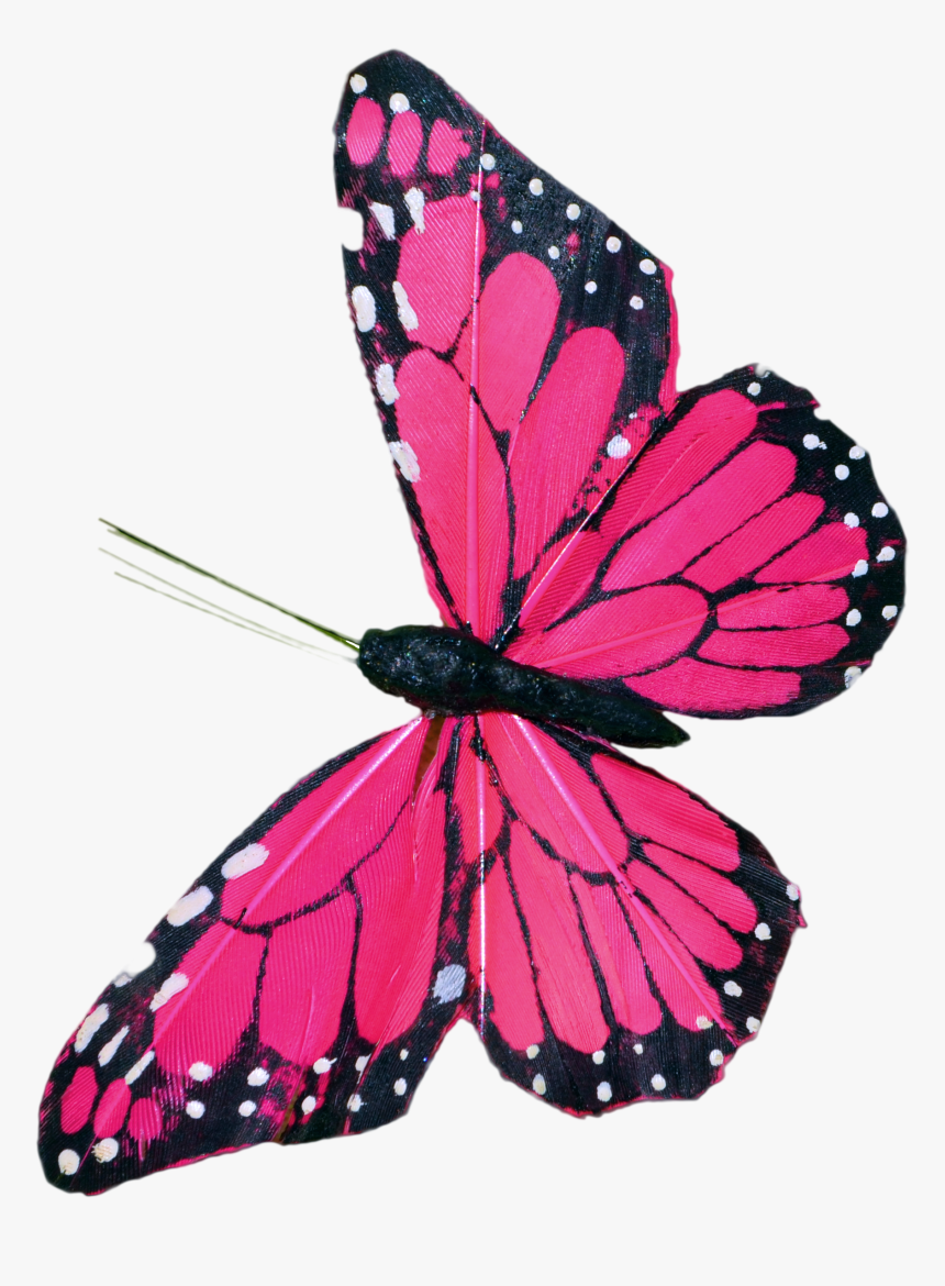 Pink Butterfly Clip Art - Butterfly Pic Hd Psd File, HD Png Download, Free Download