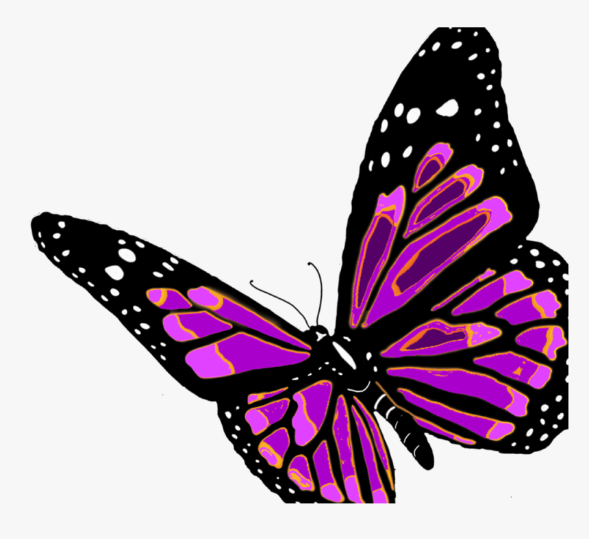 Transparent Butterfly Woman Clipart - Monarch Butterfly Png, Png Download, Free Download