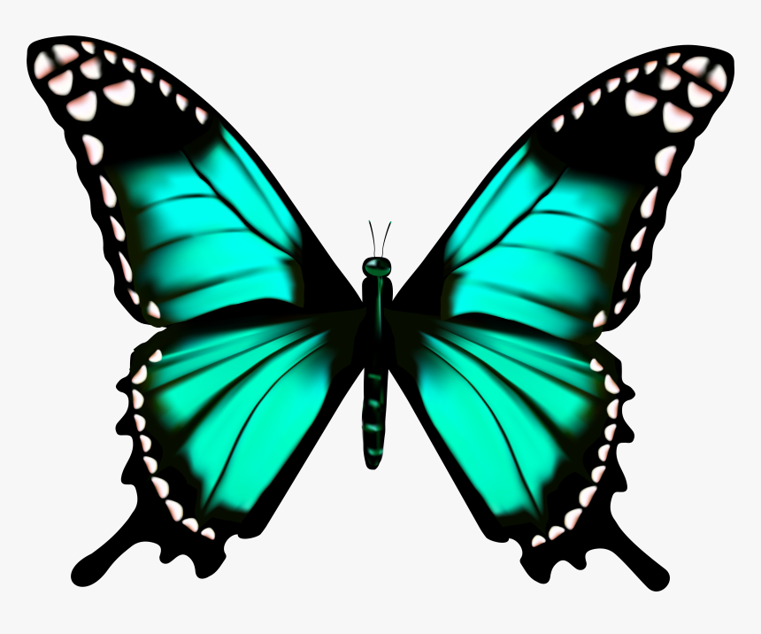 Butterfly Transparent Png Clip Art Imageu200b Gallery - Clip Art Transparent Butterfly, Png Download, Free Download