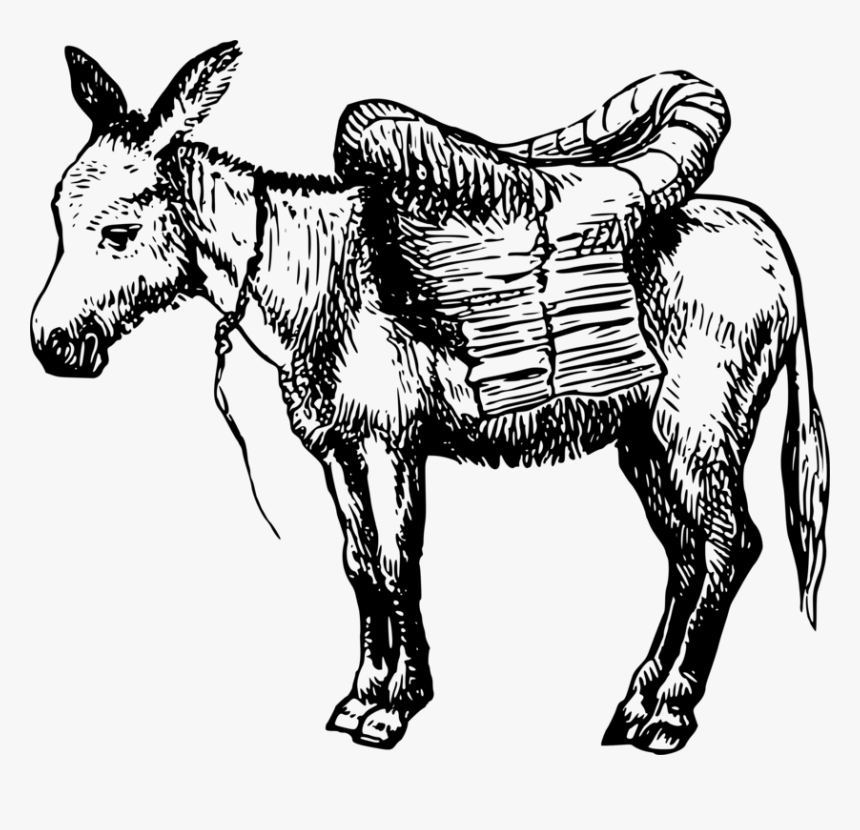 Donkey Drawing Vector Graphics Cartoon Clip Art - Donkey Drawing Transparen...