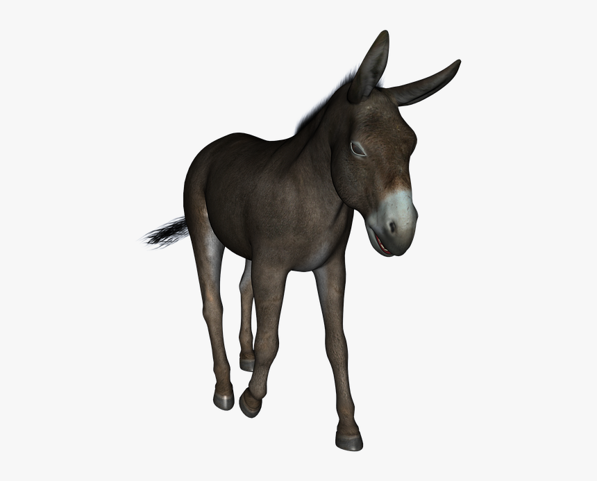 Jogo Do Bicho Burro, HD Png Download, Free Download