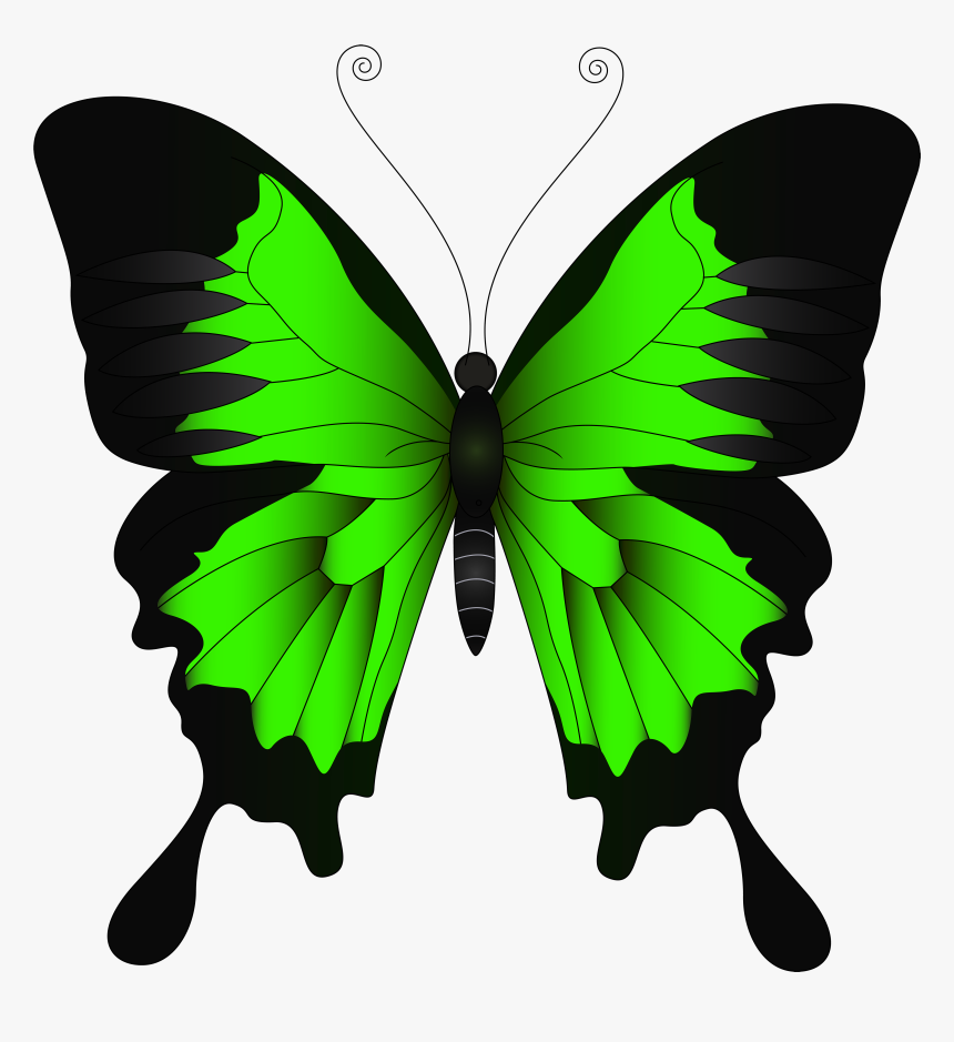 Butterfly Clipart Green Png - Yellow Butterfly Png, Transparent Png, Free Download