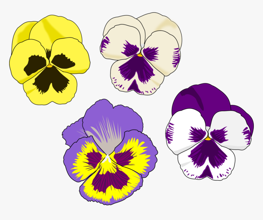 Plant,flower,seed Plant - Pansy Flower Clip Art, HD Png Download, Free Download