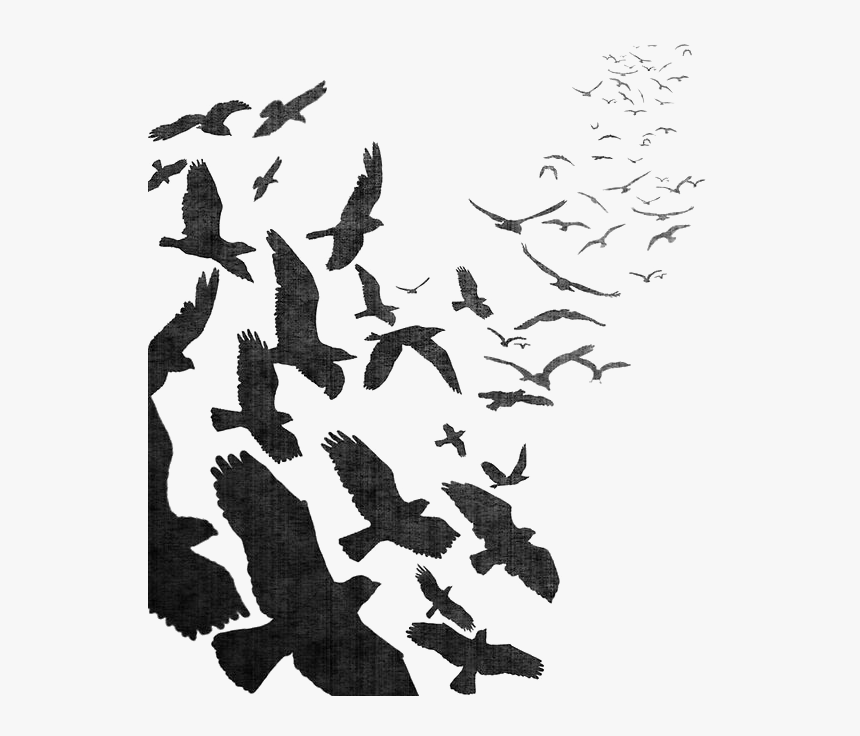 Flight Crow Watercolor Common Flock Bird Raven Clipart - Flock Of Crows Png, Transparent Png, Free Download