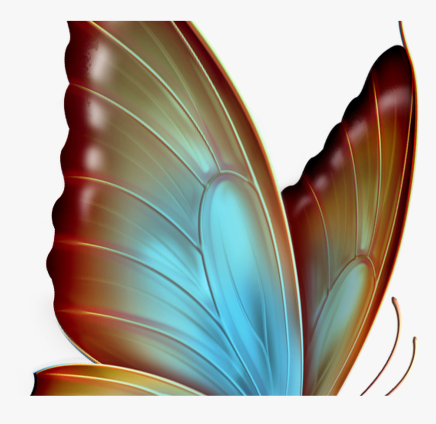 Transparent Butterflies Png Transparent - Transparent Background Butterfly Clipart, Png Download, Free Download