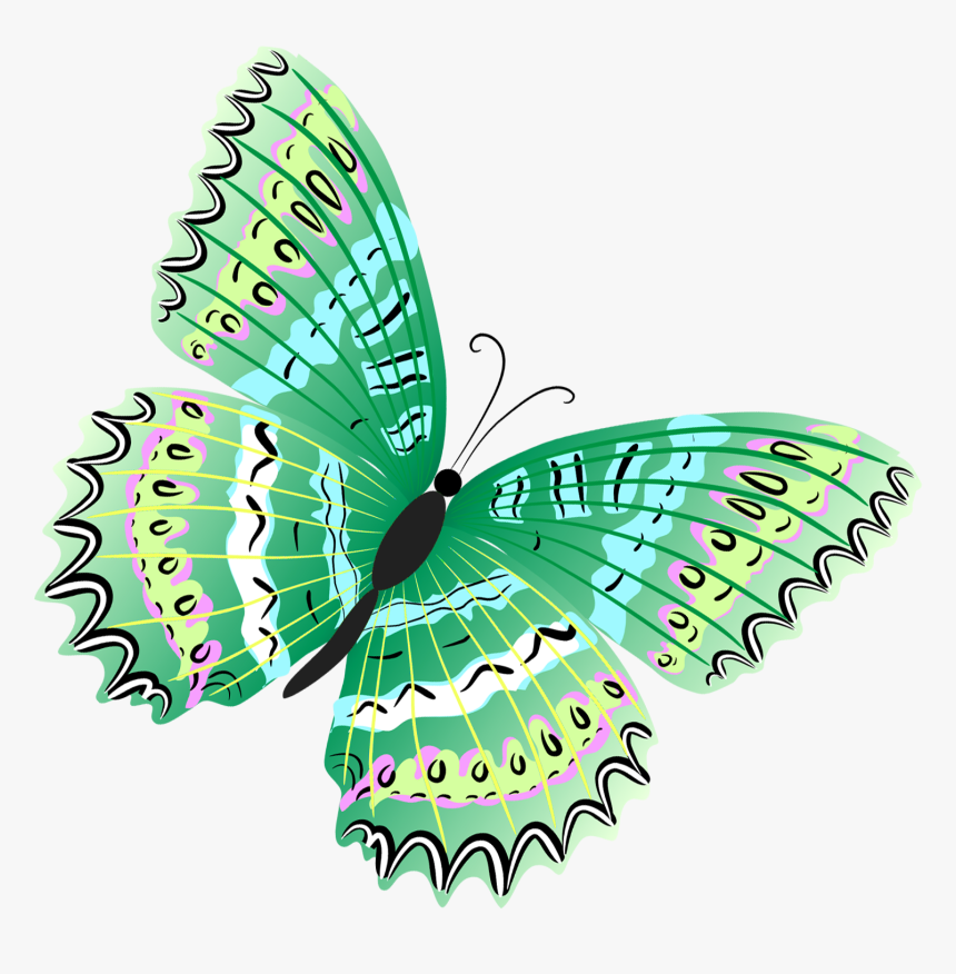 Butterfly Clipart Green Free - Green Butterfly Clipart, HD Png Download, Free Download