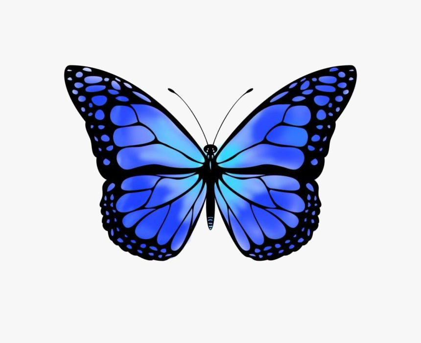 Blue Butterfly Free Png Image - Monarch Butterfly Clipart, Transparent Png, Free Download