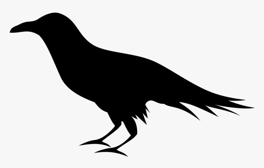 Raven Png - Clipart Raven Png, Transparent Png, Free Download