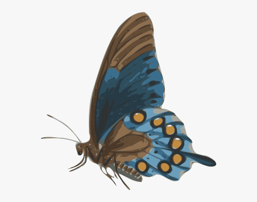 Butterfly Svg Clip Arts - Butterfly Side View, HD Png Download, Free Download