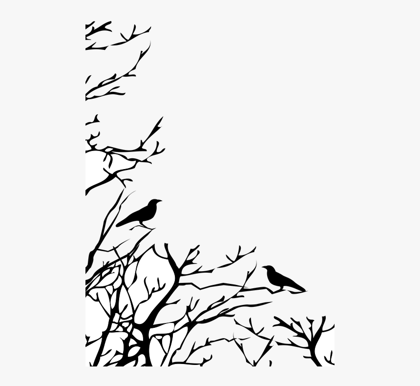Transparent Tree Branch Clipart Black And White - Crows Tree Branch Drawing, HD Png Download, Free Download