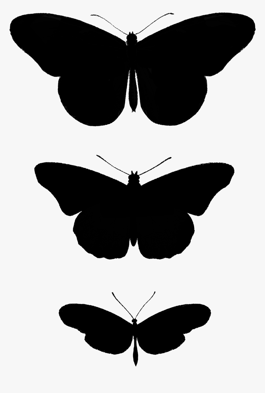 2267 Butterfly Silhouettes Free Vintage Clip Art➢ Download - Brush-footed Butterfly, HD Png Download, Free Download