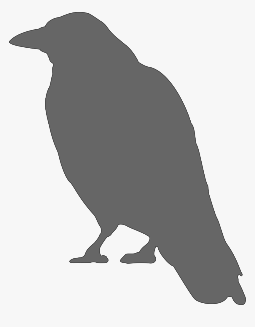 Crow Silhouette, HD Png Download, Free Download