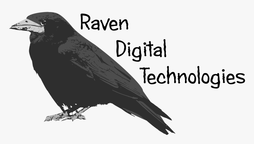 Raven , Png Download - Bird Of Prey, Transparent Png, Free Download