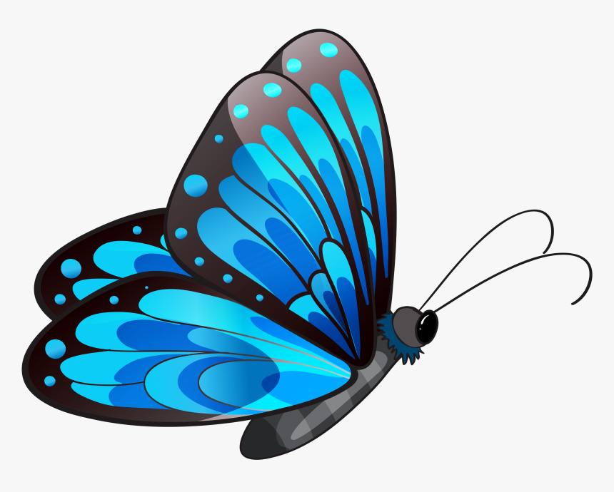 28 Collection Of Butterfly Clipart Png - Flying Butterfly Clip Art, Transparent Png, Free Download