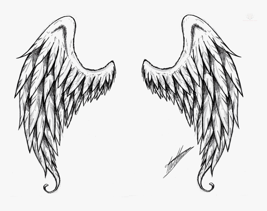 Wings Tattoo Png Free Download, Transparent Png, Free Download