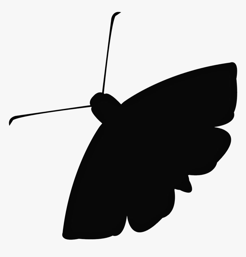 Moth Download Png Image - Moth Logo Png, Transparent Png, Free Download