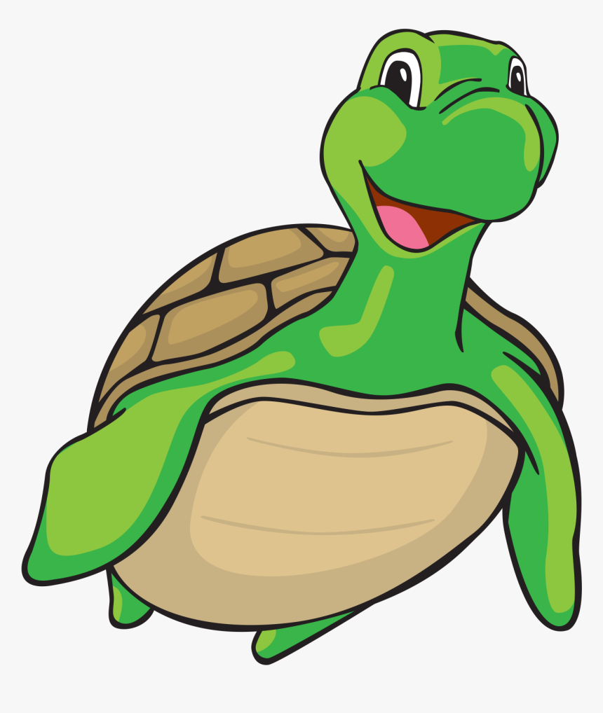 Turtle Cartoon Png, Transparent Png - kindpng