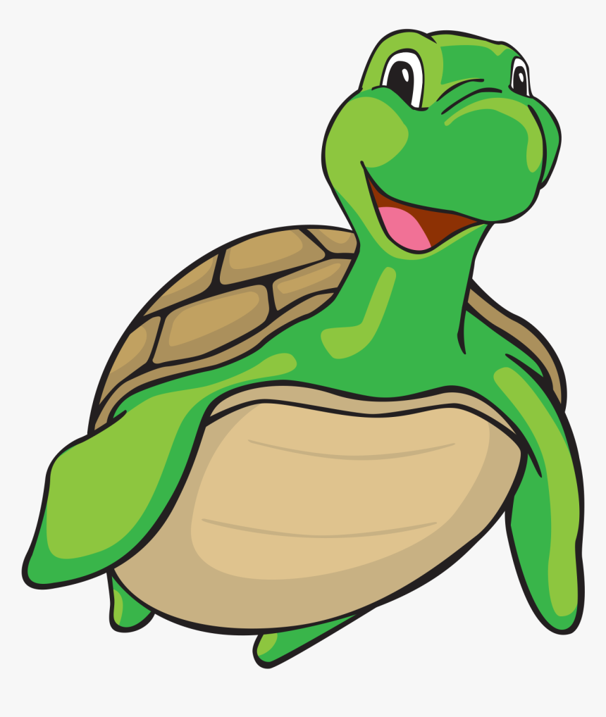 Turtle Cartoon Png, Transparent Png, Free Download