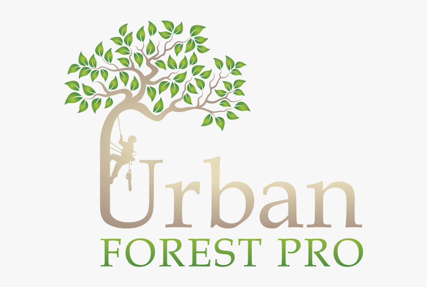 Urban Forest Pro 2 - Logo Urban Forest Pro, HD Png Download, Free Download