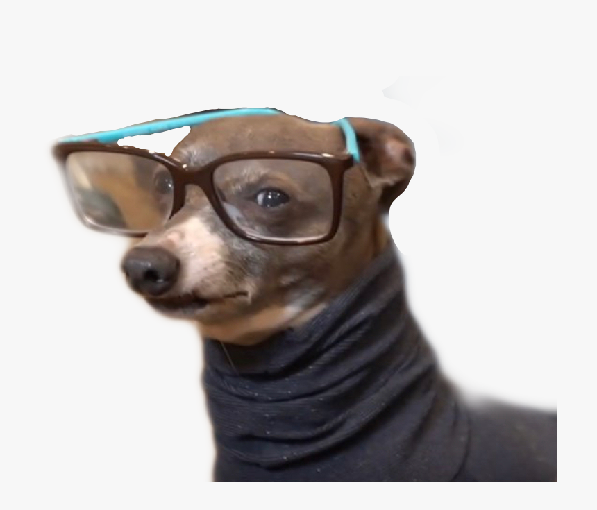 #cermet #cermit #kermit #jennamarbles #freetoedit - Dog With Turtleneck And Glasses, HD Png Download, Free Download