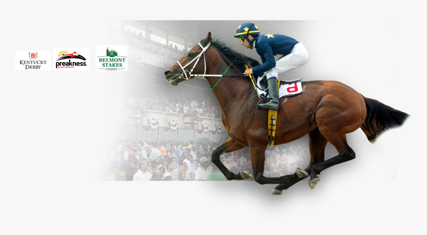 Cusiconage - Belmont Stakes, HD Png Download, Free Download