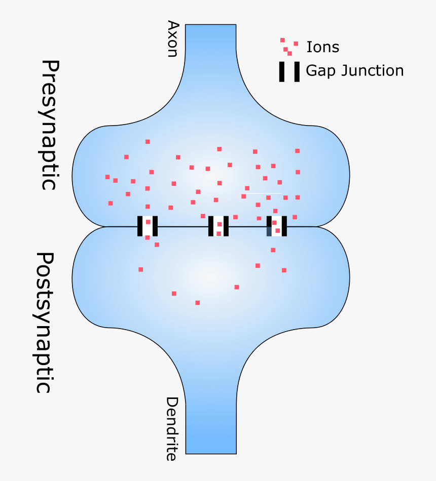 Electrical Synapse, HD Png Download, Free Download