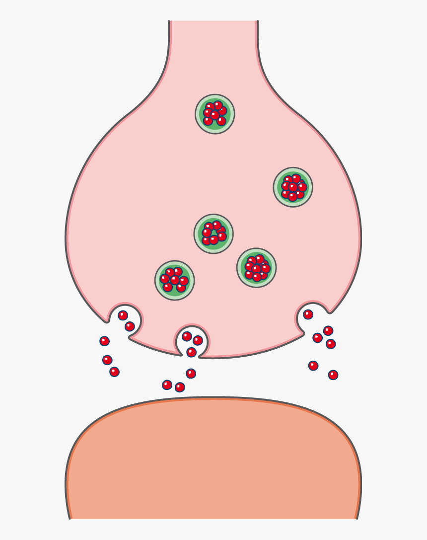 Synapse Cartoon, HD Png Download, Free Download