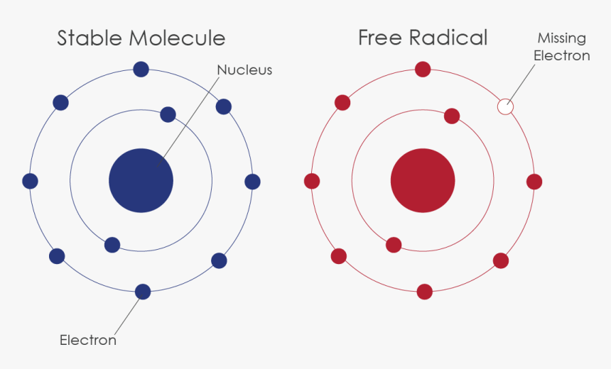 Stable Molecule Free Radical, HD Png Download, Free Download