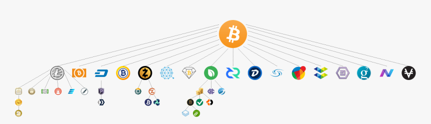 Bitcoin Forks - Bitcoin Hard Fork List, HD Png Download, Free Download