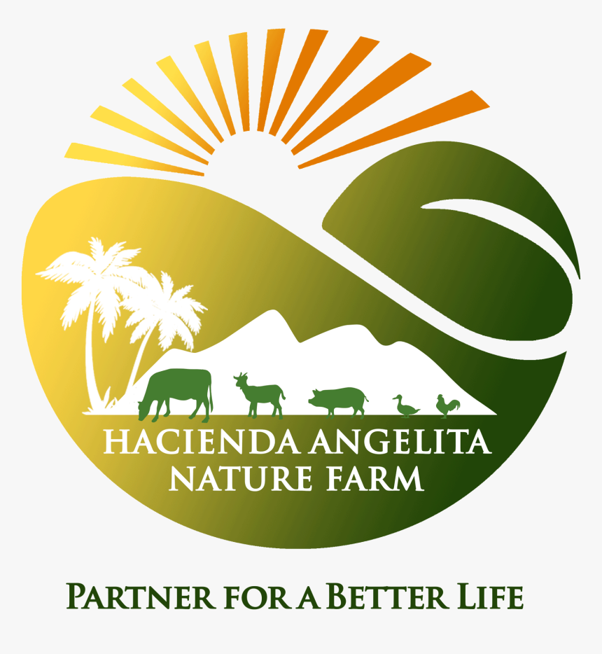 Hacienda Angelita - Supernatural Season 1 Dvd Cover, HD Png Download, Free Download