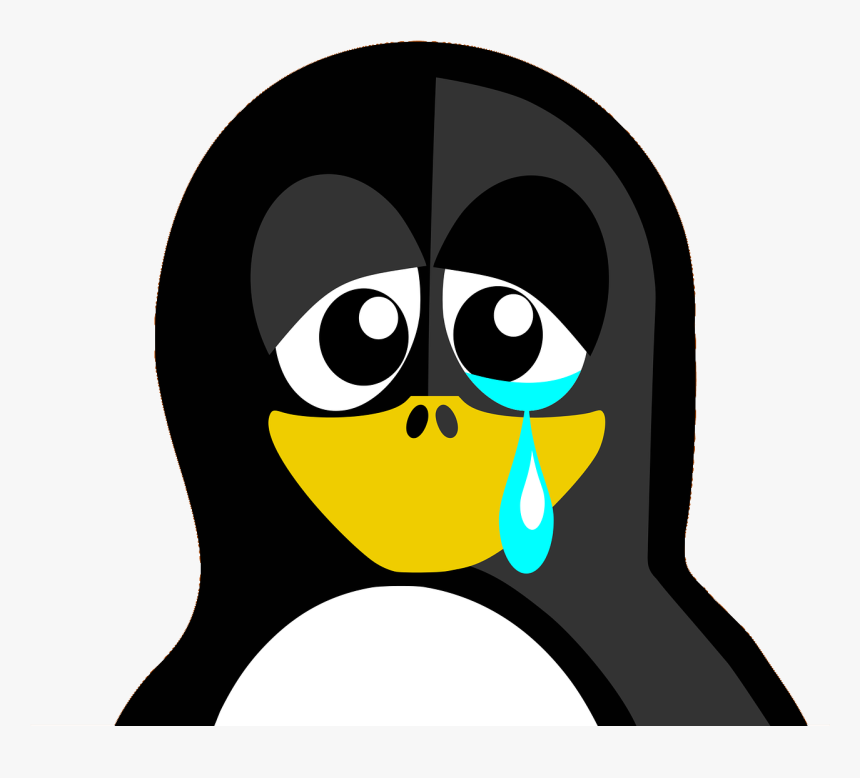 To Win An Argument, You Need To Be Prepared And Have - Sad Linux Penguin, HD Png Download, Free Download