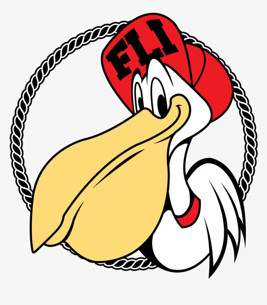 Fli Pelican, HD Png Download, Free Download