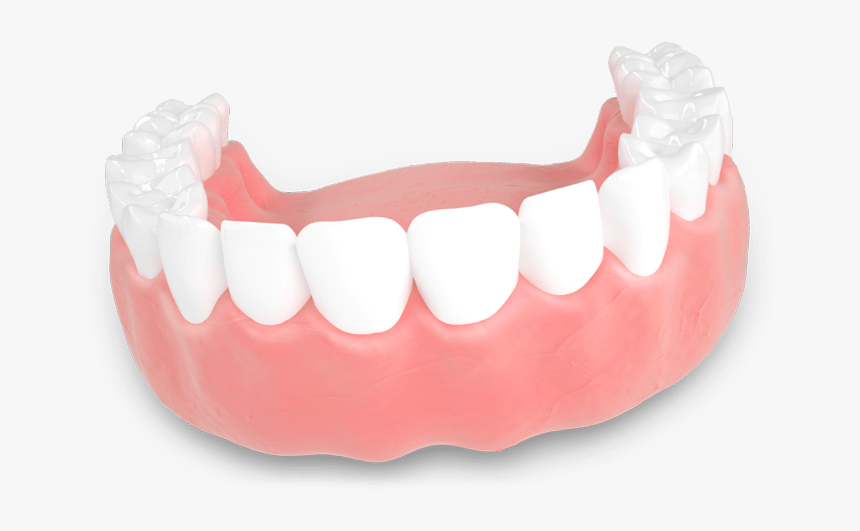 Dentures Model San Jose, Ca - Tongue, HD Png Download, Free Download