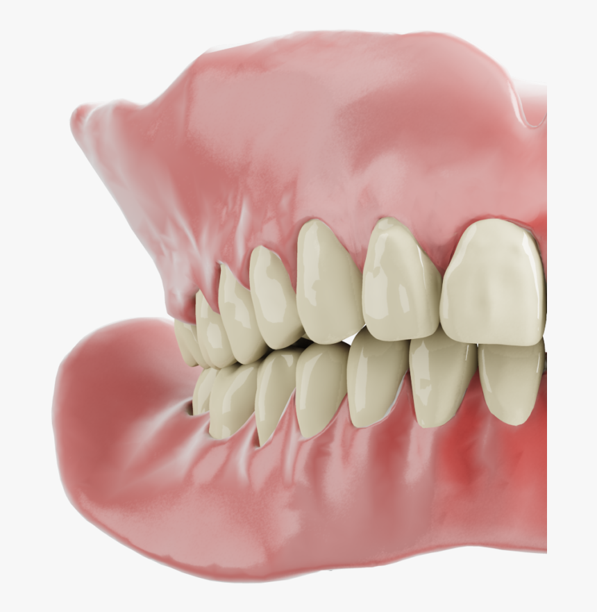 Dentures Png, Transparent Png, Free Download