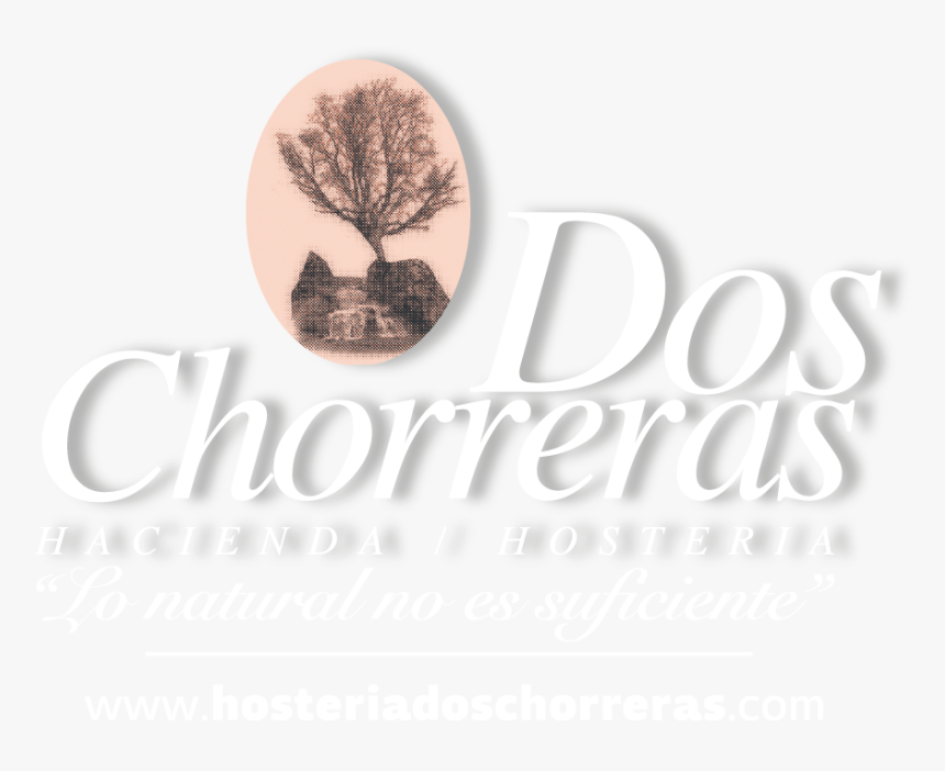 Hosteria Dos Chorreras Logo, HD Png Download, Free Download