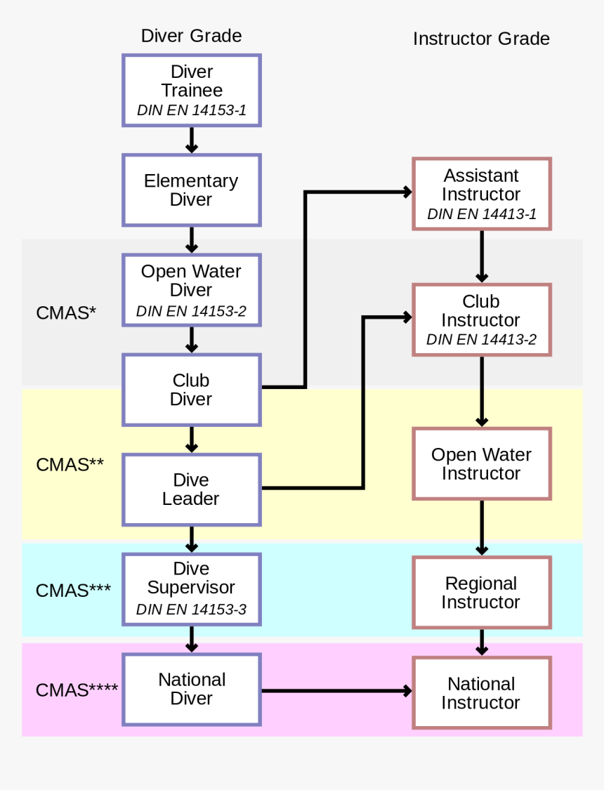 Cmas Scuba Diving Courses, HD Png Download, Free Download