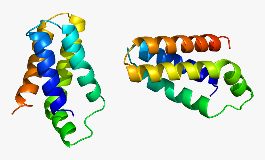 Protein Frap1 Pdb 1aue - Mtor, HD Png Download, Free Download