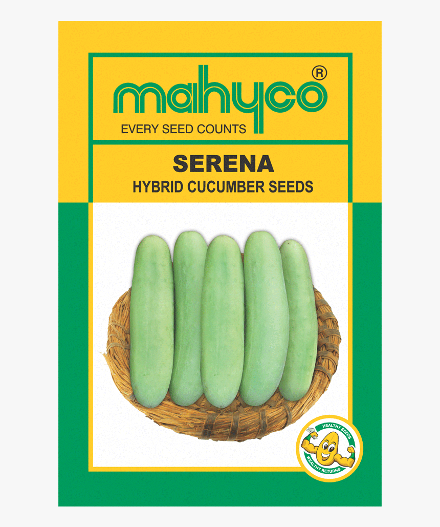 Mahyco Brinjal Seeds, HD Png Download, Free Download