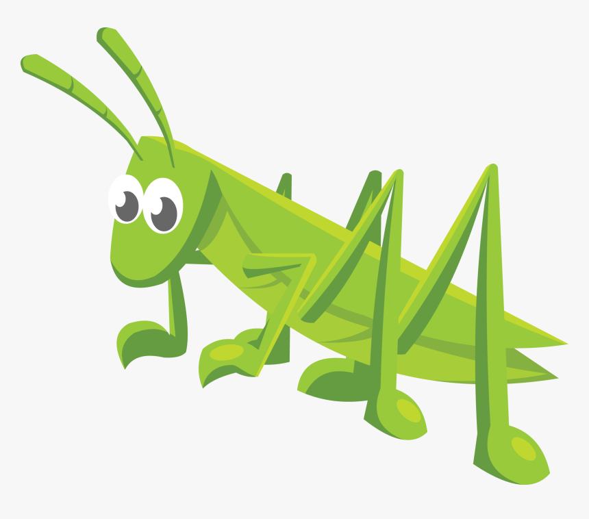 Afra#of-grasshoppers - Grasshopper, HD Png Download, Free Download